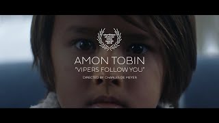 Amon Tobin  Vipers Follow You Official Video [upl. by Cilegna334]