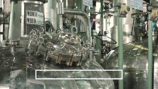 cGMP Manufacturing in Panoli India [upl. by Ahel266]