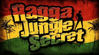 RAGGA JUNGLE SECRET  Drum n Bass Mix [upl. by Roydd920]