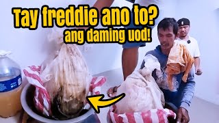 Ano To Tatay Freddie Ang Daming Uod Sa Kwarto [upl. by Adella]