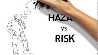 Hazards and risks [upl. by Esorylime]