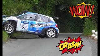 Rallye Crash Compilation 2023 World 24  RallyeFix [upl. by Eniamrehc]