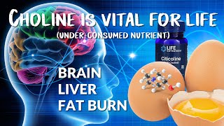 Choline health benefits choline is an essential nutrient Liver and brain health Fat burning [upl. by Walczak]