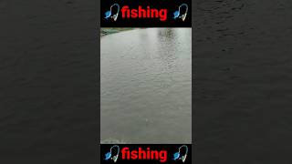 CARAZI Fish catch 🎣 🎣 Amazing fish🎣। Shorts 😀 big fish 🐟🐠🤤 [upl. by Ayel651]