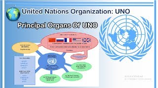 Organs of United Nations Organization  Organs of UNO [upl. by Maressa789]