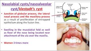 ORALPATH CHAP3 PART 3 ODONTOGENIC CYSTS AND TUMOURSENGLISH [upl. by Blackwell]