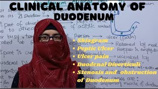 Clinical anatomy of Duodenum  Parts of Duodenum  Duodenum Anatomy  ayeshamedicaleducation [upl. by Radie]