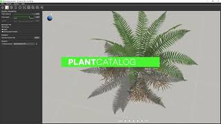 PlantCatalog 3D Male fern  Dryopteris filixmas  procedural vegetation engine [upl. by Leda]