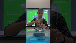 Chloralkali Process ll learningscience education educationalexperiments scienceforkids stem [upl. by Berny]