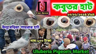 Uluberia pet market  Current Exotic Pigeons Price Update at Uluberia 20012024 Visit One Moon [upl. by Ardnuassak]