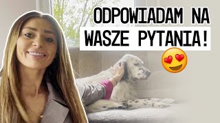 QampA O miłości strachu i biznesie [upl. by Seidnac]