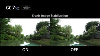 5axis optical image stabilization  Alpha 7S II  Sony  α [upl. by Nyrhtakyram]