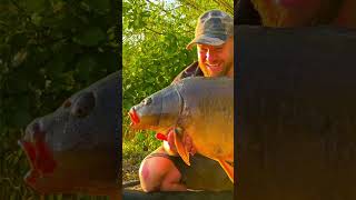 A Linear Fisheries 30lb Mirror Carp carpfishing2024 oxlease fishing [upl. by Geri777]