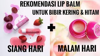 Lipbalm untuk Bibir Kering dan Hitam  Wardah Everyday Fruity Sheer Lip Balm Tender Care Oriflame [upl. by Aniara]