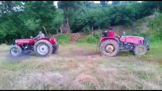 Massey ferguson 2615 vs massey ferguson 260 gold [upl. by Frasco]