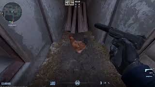 CounterStrike 2 Chicken Twerking Extended [upl. by Semela]