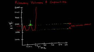 Pulmonary Volumes amp Capacities [upl. by Wadleigh]