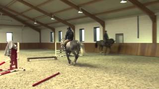 Rob Ehrens Gymnastiek voor je paard [upl. by Rourke]