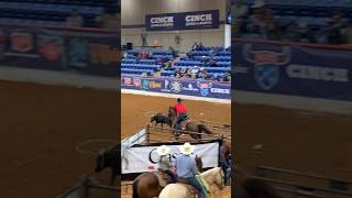 TEAM ROPING 2023 • REELS • ESTADOS UNIDOS • LAÇO PÉ • AMERICAN ROPES 20 shorts [upl. by Anirb413]