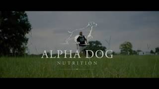 Dog Training amp Nutrition with Dr Duck  Alpha Dog Nutrition [upl. by Sparrow]