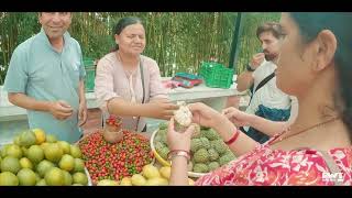 Visit of Park Village Resort amp Jamchen Stupa  Budhanilkantha Beautiful place near Kathmandu [upl. by Laughry]