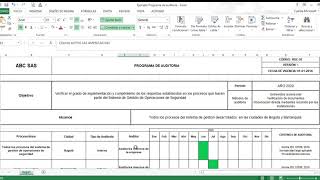 Ejemplo Programa de auditoria [upl. by Ule877]