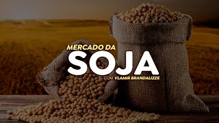 China compra pouca soja no começo de outubro e preços voltam para a casa dos 10 dólares por bushel [upl. by Joelie]