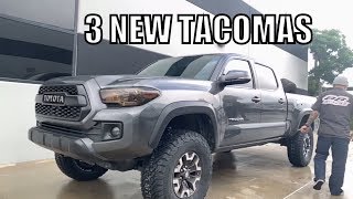 3 New Toyota Tacomas Lifted on King amp Fox Suspension [upl. by Cadal]