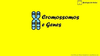 Cromossomos e Genes [upl. by Glynas]