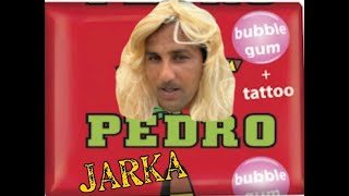 JARKA  Pedro Žuvačky COVER  VERSION  OFFICIALVideo [upl. by Schuyler]