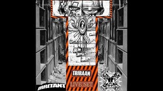 Irritant Sounds  Tribaan Hardtekno tribe Live set [upl. by Wehtam]