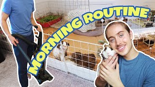 MORNING ROUTINE WITH 12 GUINEA PIGS 🐽 ✨  VLOG [upl. by Linsk708]