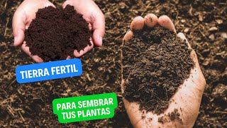 Como preparar tierra fértil para sembrar plantas frutales [upl. by Enitsyrk]