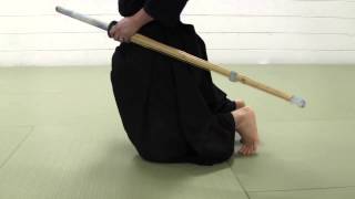 Kendo Basics I Introduction and Sitting in Seiza [upl. by Nosnor912]