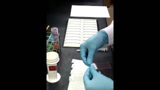 How to make a Cytology Smear [upl. by Akimet]