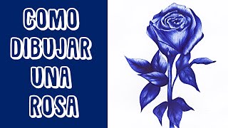 Como Dibujar una Rosa Realista con Bolígrafo Paso a Paso [upl. by Pincus]