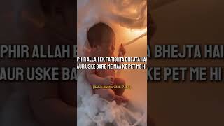 Maa ke pet me bacha 🥺🥺 muslimgirl allahquran youtube shortsfeed namaz bukhari hadees quran [upl. by Robyn331]