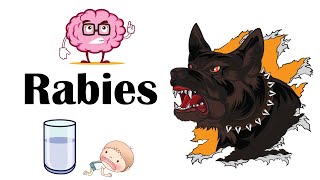 Rabies  Signs amp Symptoms What Are The Signs amp Symptoms Of Rabies [upl. by Eirrej931]