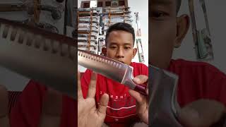 Review Pisau Berlinger Haus Profesional Chef Knife 20 cm  tes ketajaman asli bawaan pabrik [upl. by Ehsrop]