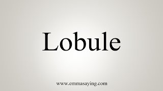 How To Say Lobule [upl. by Atteval]