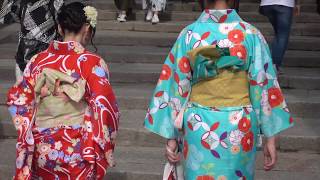 The Beauty of Tokyo and Kyoto  Japan Travel Video [upl. by Dekow621]