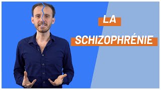 La schizophrénie [upl. by Ecienaj1]