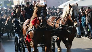 Božićni Konji Pecka  2022 [upl. by Anihsak355]