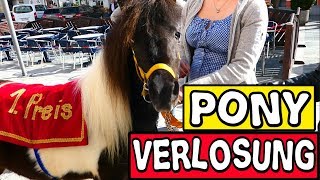 PONY VERLOSUNG [upl. by Florin]