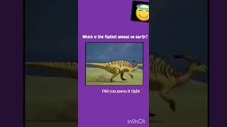 comment the fastest animal youtubeshorts shorts shortsvideo [upl. by Meisel253]