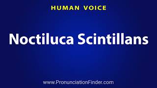 How To Pronounce Noctiluca Scintillans [upl. by Usanis]