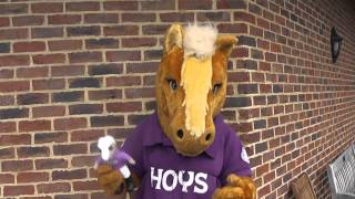 Harry HOYS interview before the Mascot Grand National [upl. by Tiersten384]