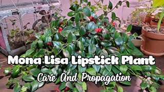 Mona Lisa Lipstick Plant Aeschynanthus Care And Propagation [upl. by Matazzoni]