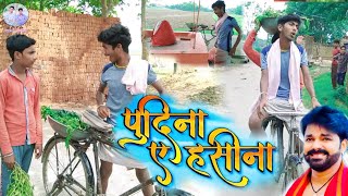 Pudina Ae Hasina Dance पुदिना ए हसीना  Pawan Singh New Song  Pudina Song  Le L Pudina A Hasina [upl. by Hsakaa342]