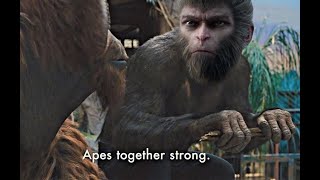 Apes together stronk  Black Myth Wukong 4 [upl. by Kepner]